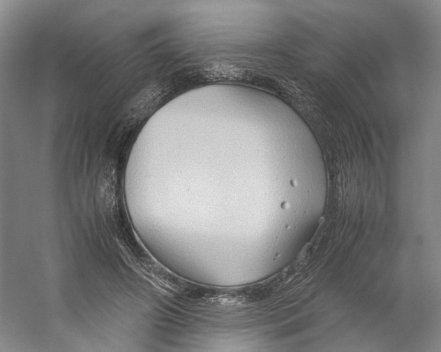 X0000059250498200511111645