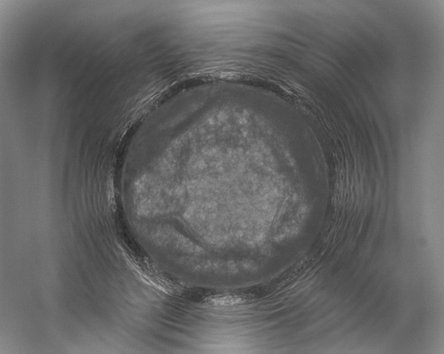 X0000059250500200511111645