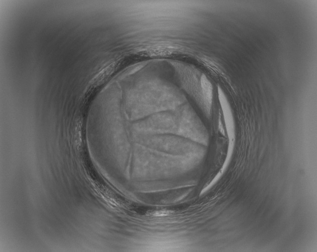 X0000059250501200511111645