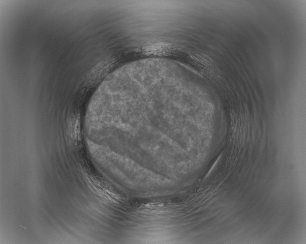 X0000059250502200511111645