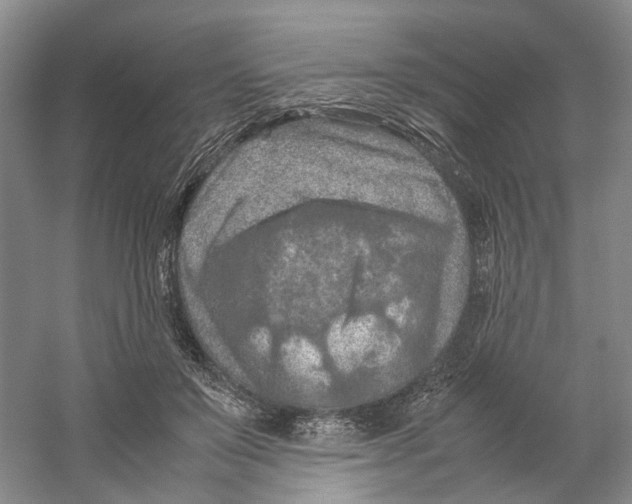 X0000059250503200511111645