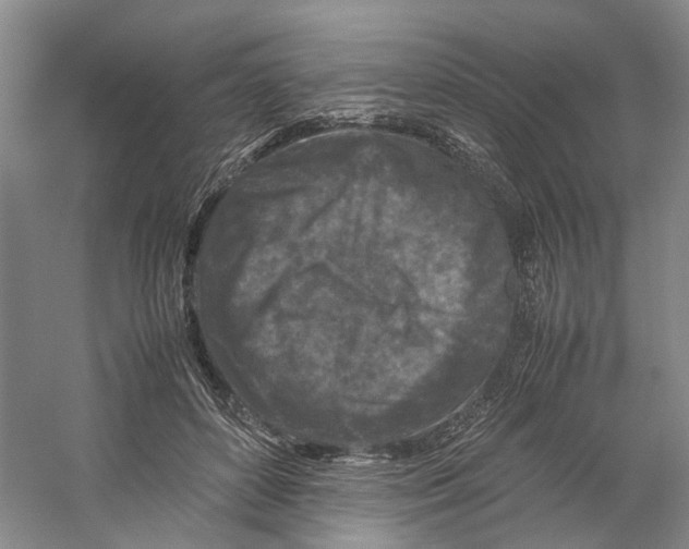 X0000059250504200511111645