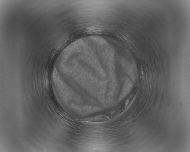 X0000059250508200511111645