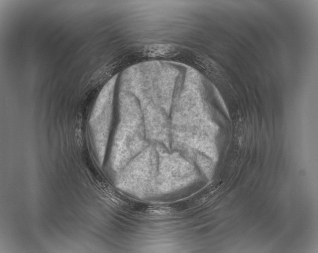 X0000059250510200511111645