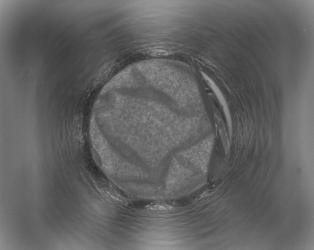 X0000059250512200511111644