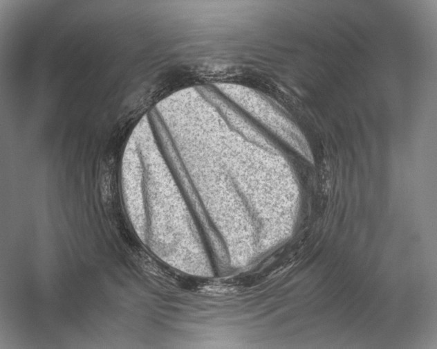 X0000059250515200511111644