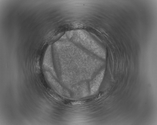 X0000059250516200511111644