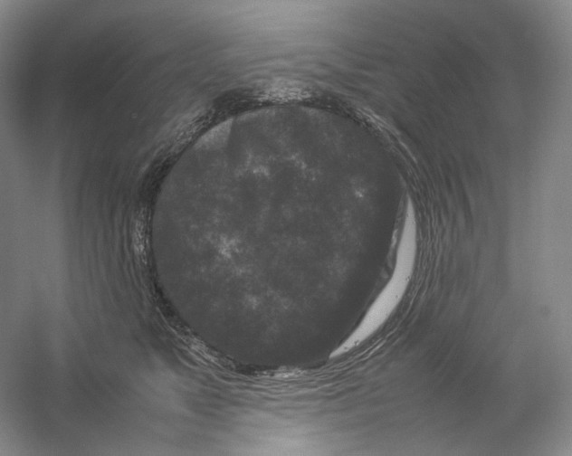 X0000059250517200511111644