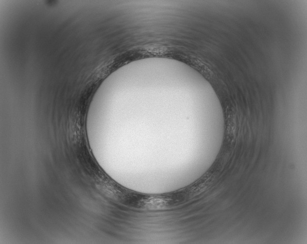 X0000059250518200511111644