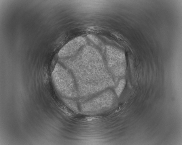 X0000059250520200511111644