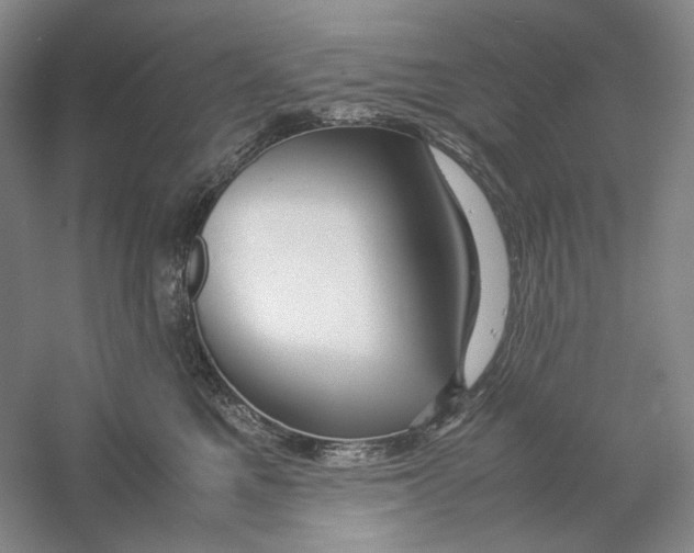 X0000059250521200511111644