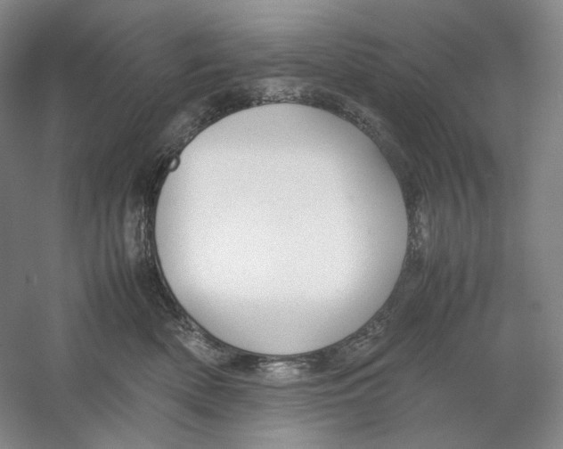 X0000059250522200511111644