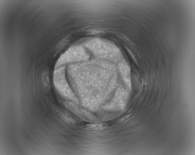 X0000059250524200511111644