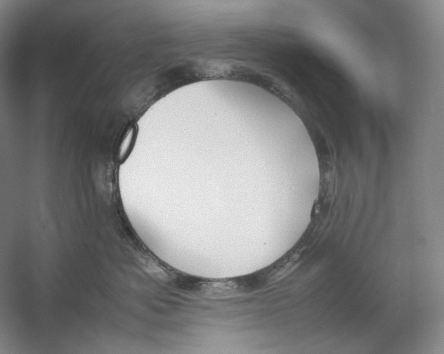 X0000059250525200511111644