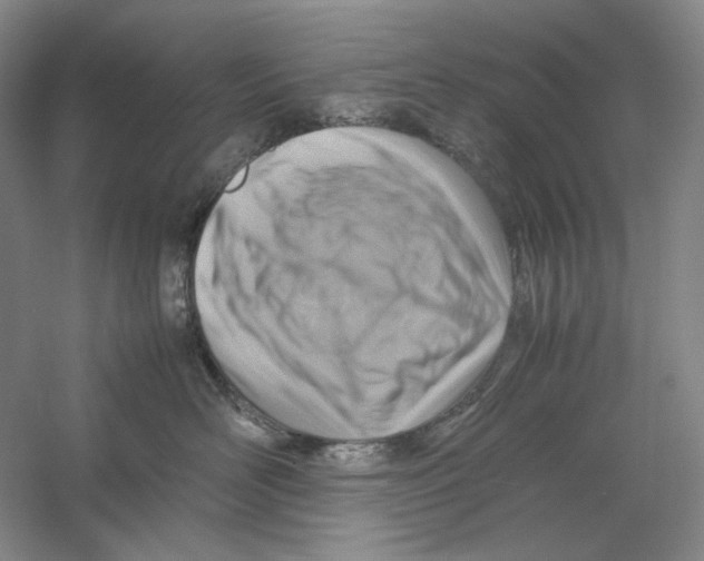 X0000059250526200511111644