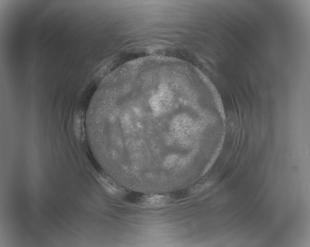 X0000059250527200511111644