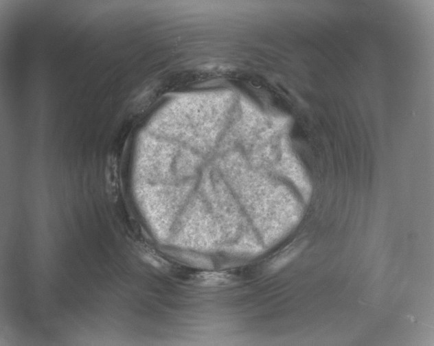 X0000059250528200511111644