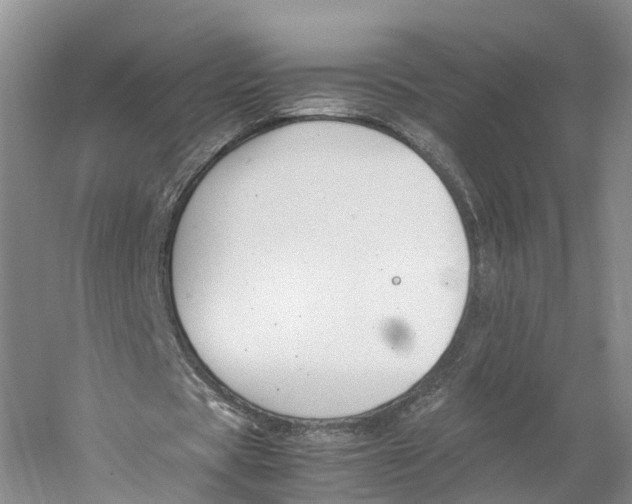 X0000059250529200511111643