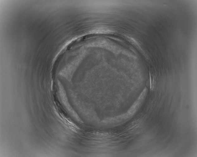 X0000059250531200511111643