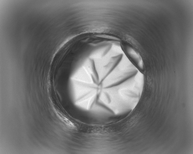 X0000059250532200511111643