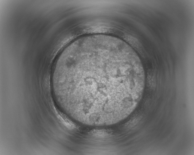 X0000059250534200511111643