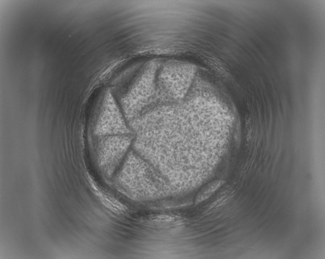 X0000059250542200511111644