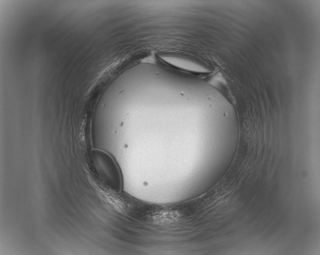 X0000059250543200511111644