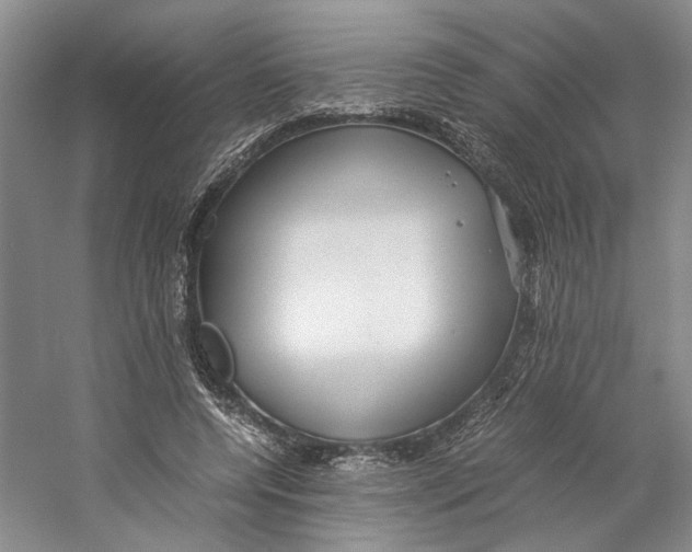 X0000059250544200511111644