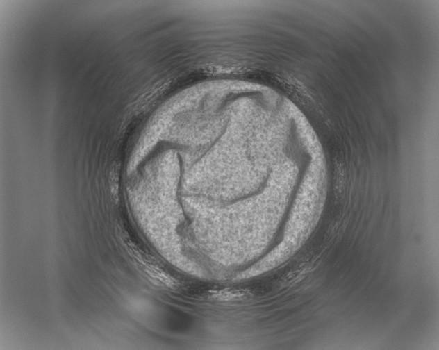 X0000059250545200511111644