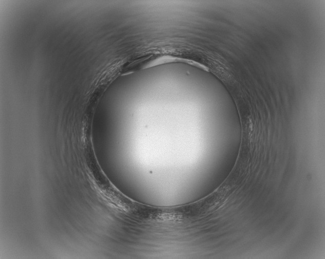 X0000059250546200511111644