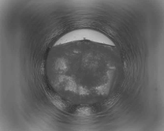 X0000059250551200511111644