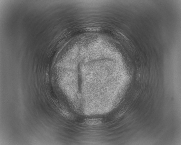 X0000059250553200511111644