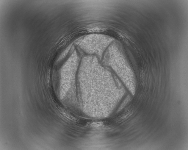 X0000059250554200511111644