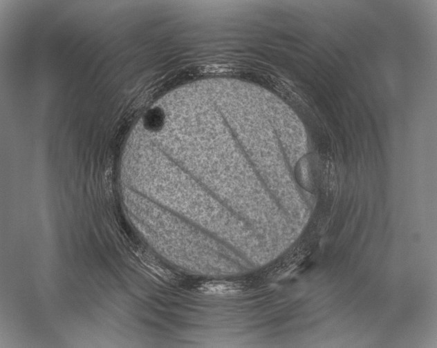 X0000059250557200511111644