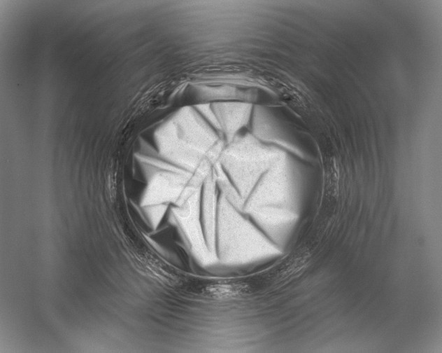 X0000059250558200511111644