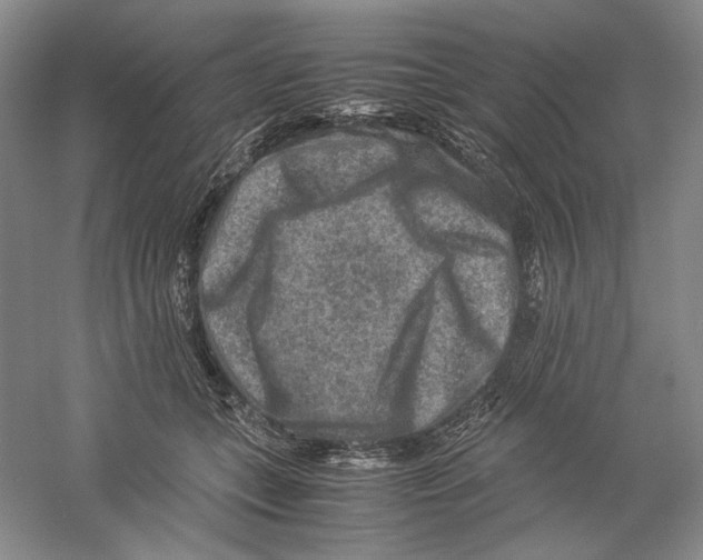 X0000059250559200511111644