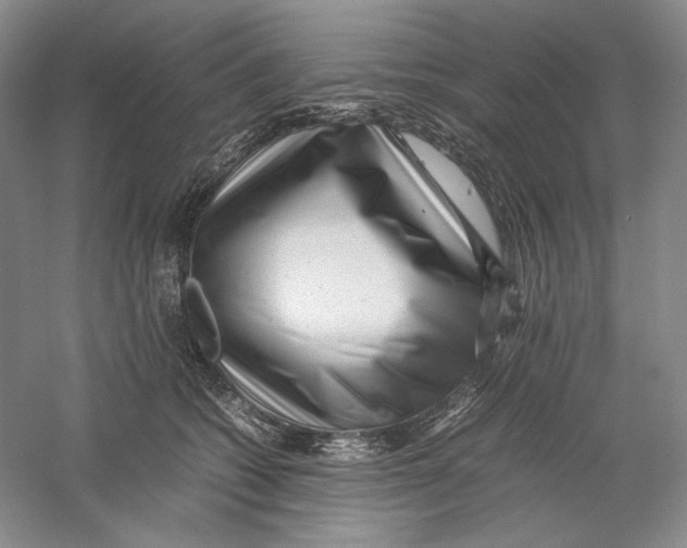 X0000059250562200511111644