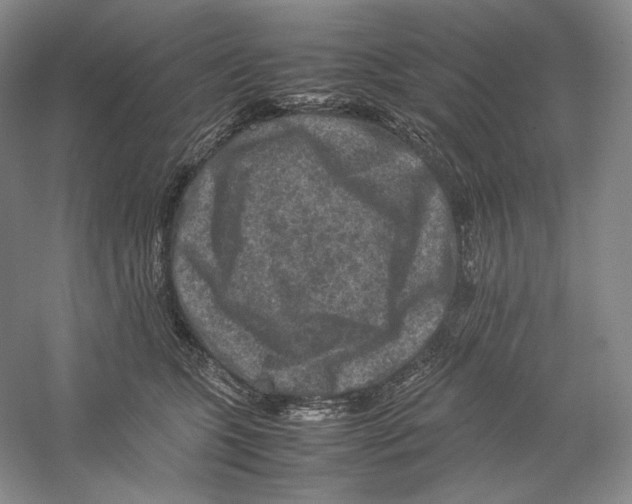 X0000059250563200511111644