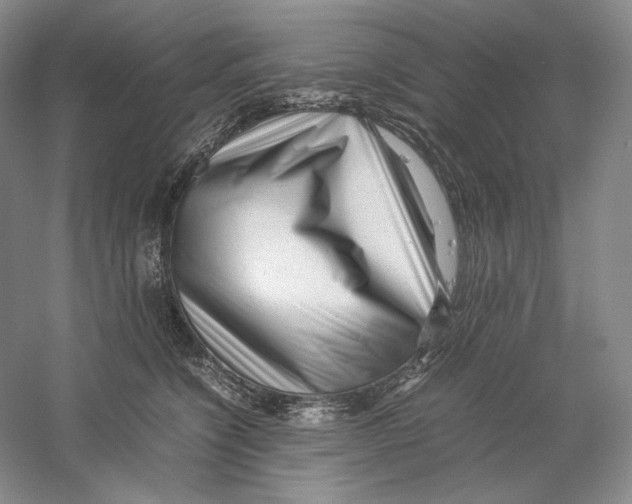 X0000059250564200511111644