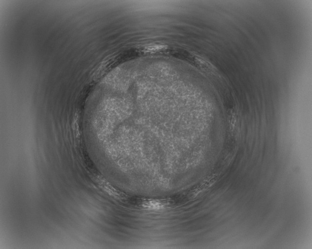 X0000059250565200511111644