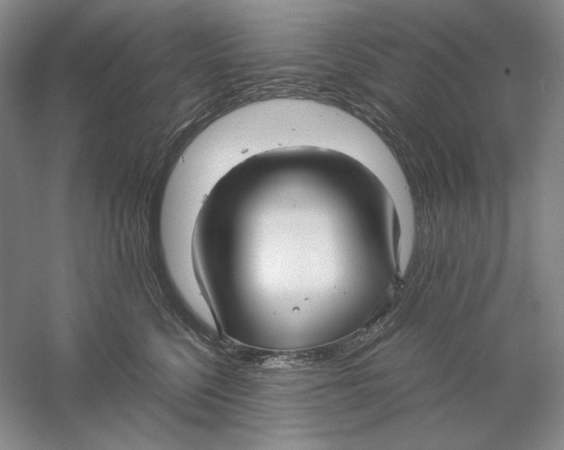 X0000059250568200511111644