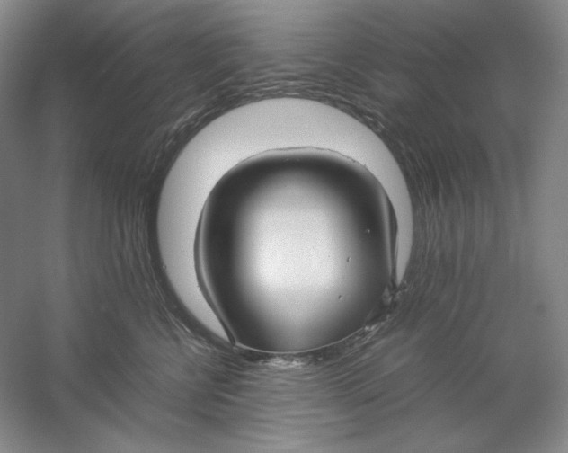 X0000059250570200511111644