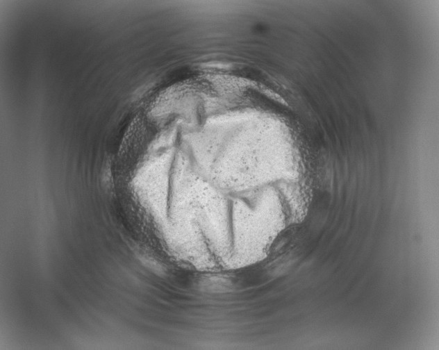 X0000059250573200511111644