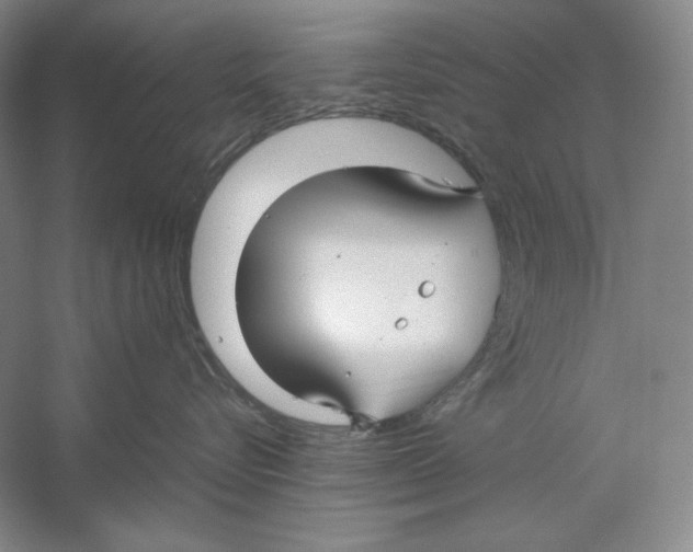 X0000059250576200511111644