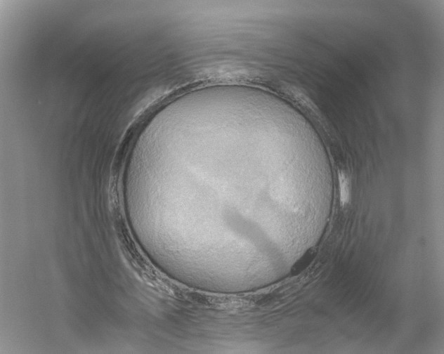 X0000059250579200511111643