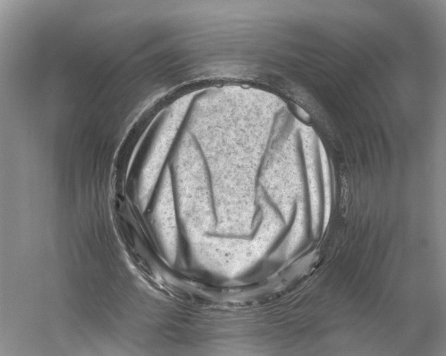 X0000059250580200511111643