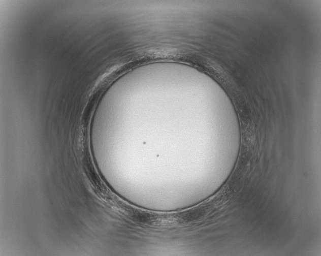 X0000059250583200511111643