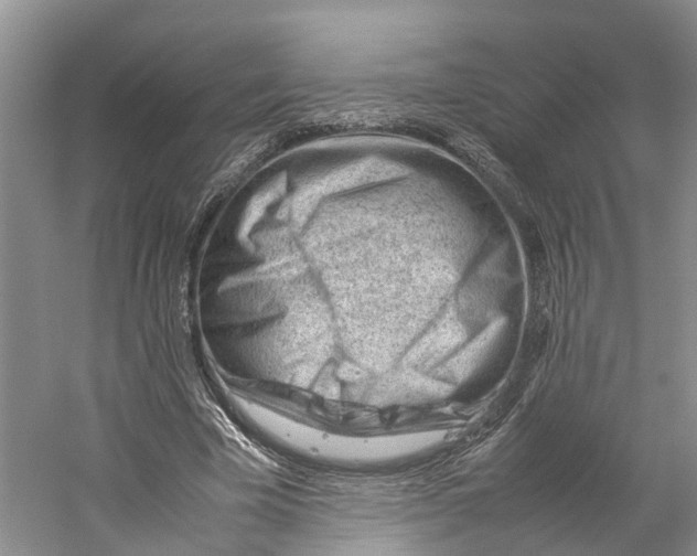 X0000059250585200511111643