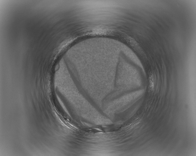 X0000059250588200511111643