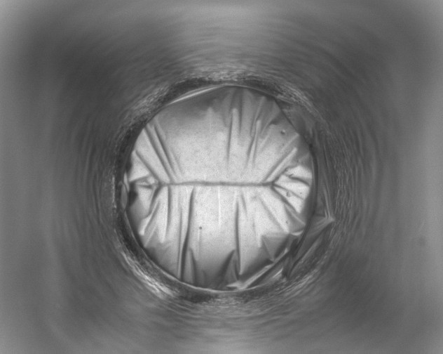 X0000059250589200511111643